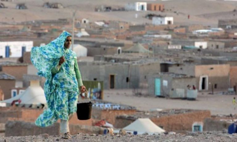الجزائر والبوليساريو.. من ورقة ضغط إلى ورطة استراتيجية وعبء مالي وسياسي