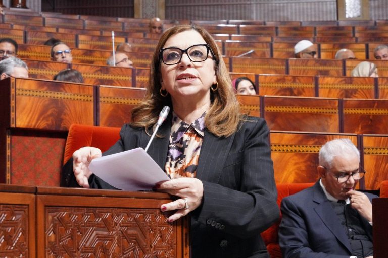 سوس ماسة.. بن يحيى تتفقد مشاريع ذات طابع اجتماعي