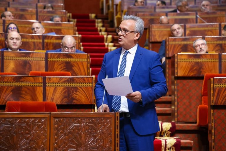 برلمانيون: 10% فقط من تحويلات الجالية تُستثمر.. وزيدان يواجه اتهامات بـ”الفشل والعجز”
