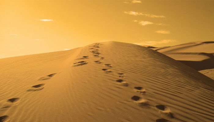 محاكمة زوجين فرنسيين بتهمة التخطيط لـ”التضحية بابنهما” في صحراء المغرب
