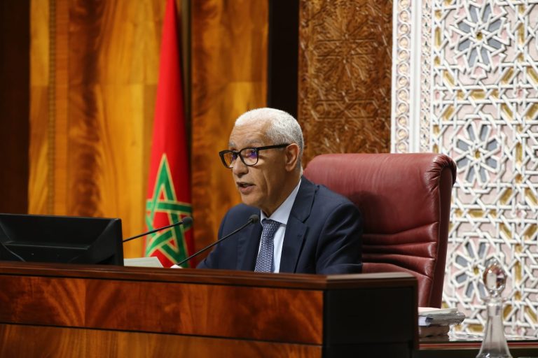 الطالبي العلمي: التشهير بالمؤسسات والمسؤولين جزء من أجندة ابتزاز خارجي