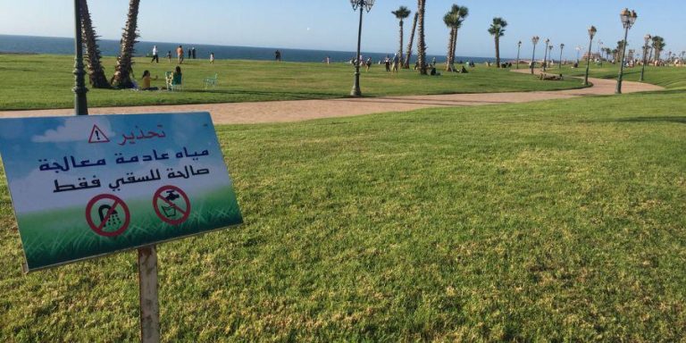 الدار البيضاء تطلق حملة بيئية كبرى لتشجير الشوارع والطرق السيارة بفضل المياه المعالجة