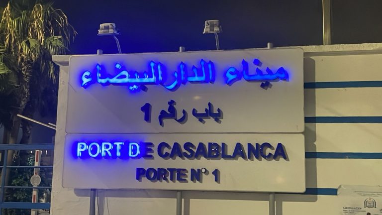 حكم قضائي بالحجز على شحنة أبقار بـ 2,6 مليار درهم يواجه عراقيل بميناء البيضاء
