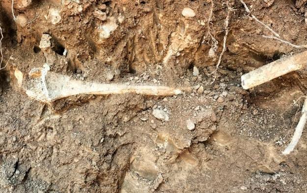 مراكش.. العثور على عظام بشرية مدفونة داخل فندق مصنف بالنخيل
