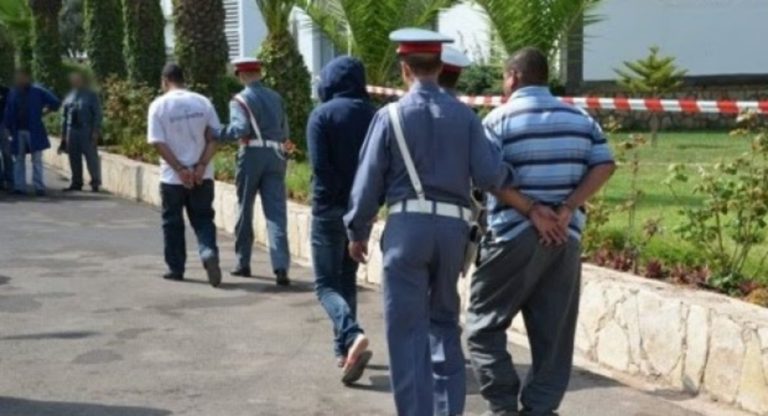 الدرك يطيح بشبكة مهلوسات بضواحي وزان.. حجز 12 ألف قرص ولوحات سيارات مشبوهة